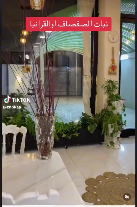 السلام عليكم
عرض اليوم عصا القرانيا او الصفصاف  تجي بيه لونين لون احمر واصفر طريقه العنايه مثل عصا موسى كل خمس قطع اب 4000
توصيل موجود للمناطق القريبه
الموقع /قضاء الخالص _ناحيه هبهب _عرب شوكه قرب مندي ماجد
الي يحب يحجز يتفضل خاص او
واتس او للاتصال
***********
