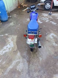 تايجر • ٢٠٢٠ • ما مفتوح