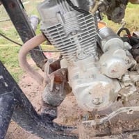 ستوتة • موديل ١٤ • اوراق اصولي