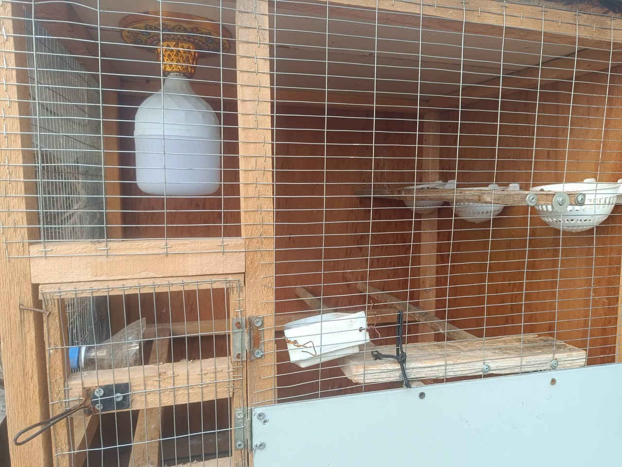 ئم قەفەسە بەردەستە پێشی بی ئاڕ سیە پشت و لای فایبەرە زۆر توند و تۆڵە 1 بە 1 سعری 25


**إذا كنت صاحب هذا الإعلان وتريد حذفه لأي سبب، رجاءا أرسل رسالة إلى الدعم الفني**