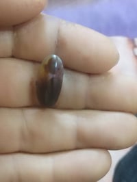 مصورة يمنية
