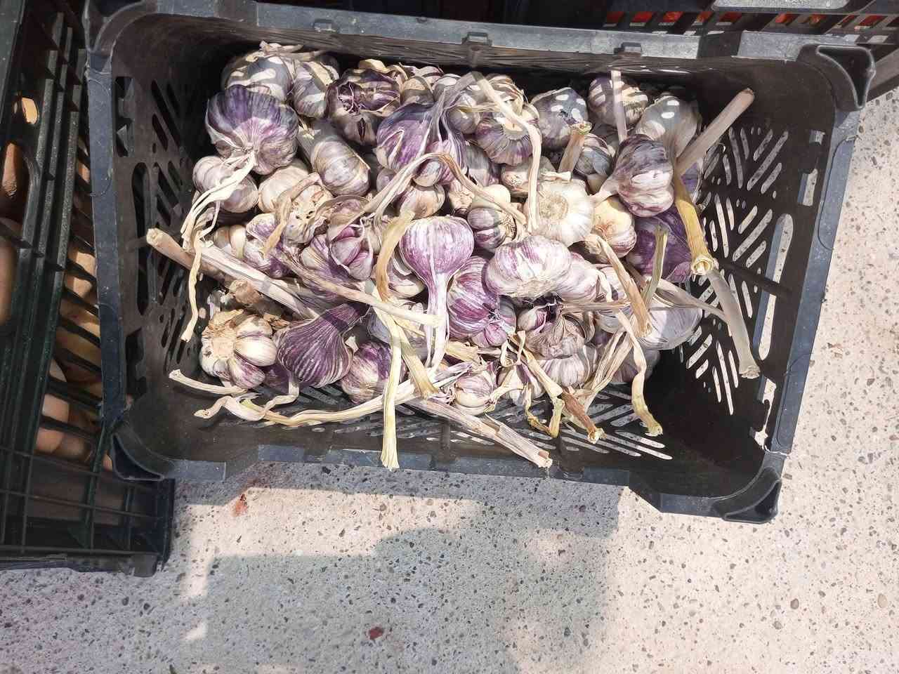 مسواك اليوم
طماطة 750 ثنين 1250
بامية حوش جديد 2500
خيار ثنين ألف وربع 
بطاطة ثنين ألف وربع 
اسود ثنين ألف وربع
بصل كريستال ثنين ألف وربع
بصل اصفر ثنين الف وربع
بصل ازرك 1500
فليفلة 1500
تفاح 1000
برتقال 1000
موز 1750
عنب 1500
ركي شرط 750
بطيخ شرط 750
سلج 750
فجل 500


**إذا كنت صاحب هذا الإعلان وتريد حذفه لأي سبب، رجاءا أرسل رسالة إلى الدعم الفني**