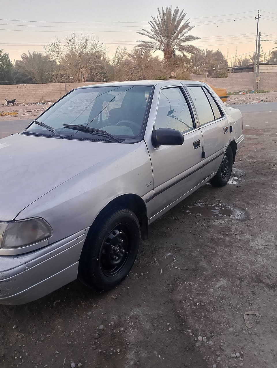 التفاصيل داخل الصور
