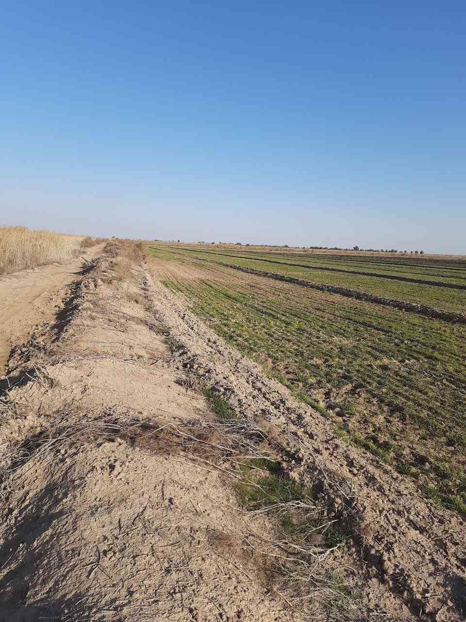 ⚜️بسم الله الرحمن الرحيم⚜️
🇺🇿🇺🇿🇺🇿🇺🇿🇺🇿🇺🇿🇺🇿🇺🇿🇺🇿🇺🇿🇺🇿🇺🇿🇺🇿🇺🇿 
⭕️اعلان

السلام عليكم ورحمة الله وبركاته و رمضان كريم ان شاءالله 

♻️تتوفر أراضي زراعية دوانم فقط 

أهم ميزة في هذه الأراضي انها ( ملك صرف ) بمعنى الأرض كلها لك و الدولة ليس لها شبر في الارض و بسعر بلاش .

♻️العنوان بغداد _ الحسينية _ شارع محمد سكران .
ماء سقي متوفر .
كهرباء قريبة 
🌾تصلح لعمل حقول لزراعة الحنطة و الخضروات .
🌴تصلح لعمل بستان لزراعة النخيل و الفواكة .
🐂تصلح لعمل حقول للدواجن أو لتربية الاغنام و الأبقار .
🐟تصلح لعمل بحيرات لتربية الأسماك 
🏝 تصلح لعمل مزرعة لعائلتك الكريمة 

السعر 
اذا تشتري ٣ دوانم يكون سعر الدونم ١٩ مليون 
اذا تشتري ٤ دوانم يكون سعر الدونم ١٨ مليون
اذا تشتري ٥ دوانم يكون سعر الدونم ١٧ مليون 
اذا تشتري من ٦ الى ١٠ دوانم يكون سعر الدونم ١٦ مليون
اذا تشتري من ١١ دونم إلى ١٥ دونم يكون سعر الدونم ١٥ مليون .

♻️هذه الأسعار نهائية غير قابلة للتغيير لان أسعارنا ثابتة لكل الزبائن 
و لا تنسى أنها (ملك صرف) (ملك صرف)
و الكمية محدودة .

♻️ما نكاتبك الا بعد أن تتأكد و تطمئن من الأرض بالطابو الا نكتب عقد بيع و شراء ولا نستلم اي مبلغ الا بعد فتح بيان بالطابو .
♻️فرصة باسعار بلاش تضمن مستقبل جميل و فرصة عمل لاطفالك .

♻️مبايل ***********  ابو منتظر 
     و الله ولي التوفيق
