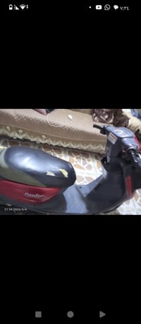 منغولي • ٦٠ • كابريتر