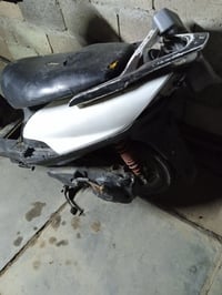 ماكس • ثعلب • موتور