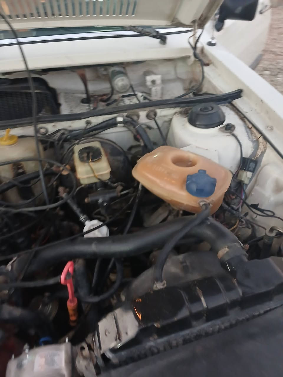 رقم نكليزي بغداد
كامله مكمله تبريد حداديده 
كهربائيات شغاله سعره ٣٥
***********
موجوده في كربلاء
