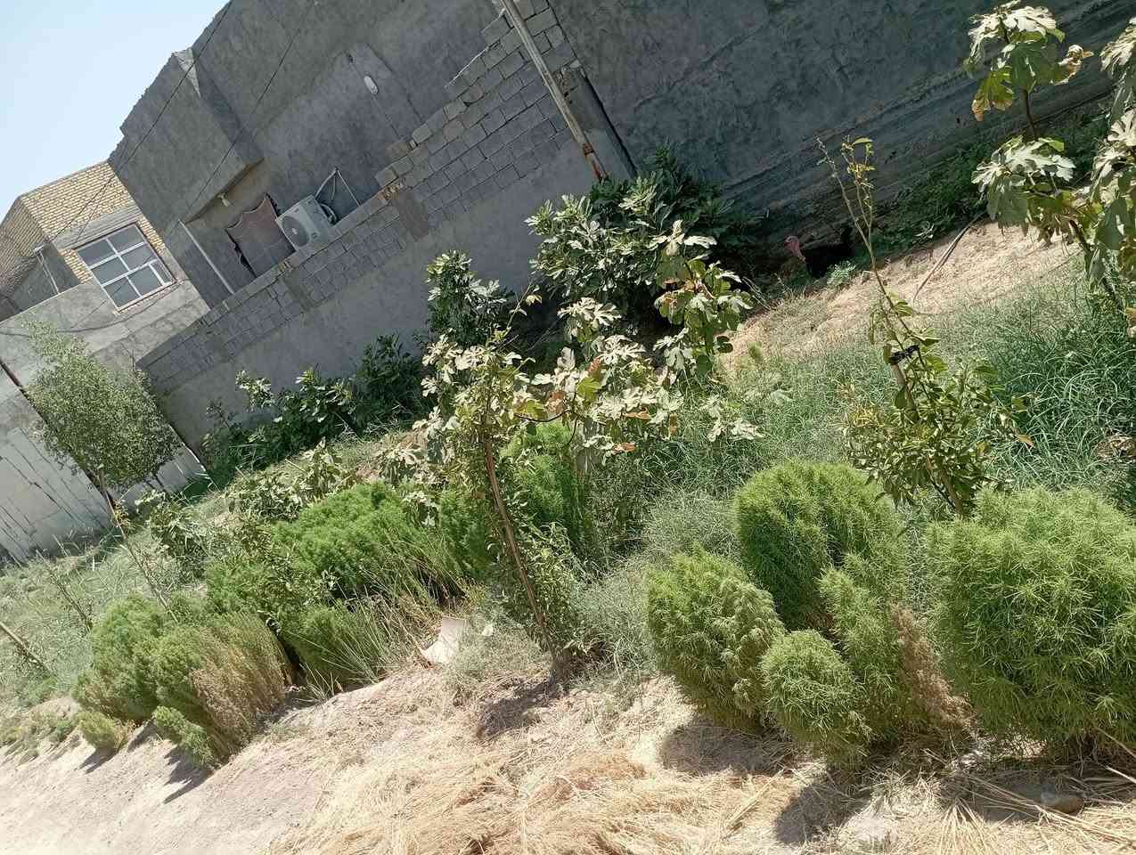 السلام عليكم نصف دونم للبيع سنتر ع شارع العام شارع بني ساله قرب معمل حلويات ورده اليقين سند 25المساحه 1250م يتكون من مطبخ حار وبارد وغرفتين وهول كبير وصاله كبيره مع مدخل ومجمع صحيات متوفر كافه الخدمات انترنت ومولده وماء اساله بدون ماطور الواجهة متروكه حسب ذوق المشتري للاستفسار الاتصال على الرقم ***********
