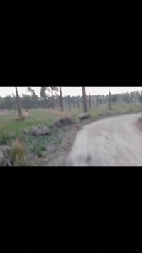 خلف الإمام علي بن الحسين • ٣ دونم • سند ٢٥ زراعي