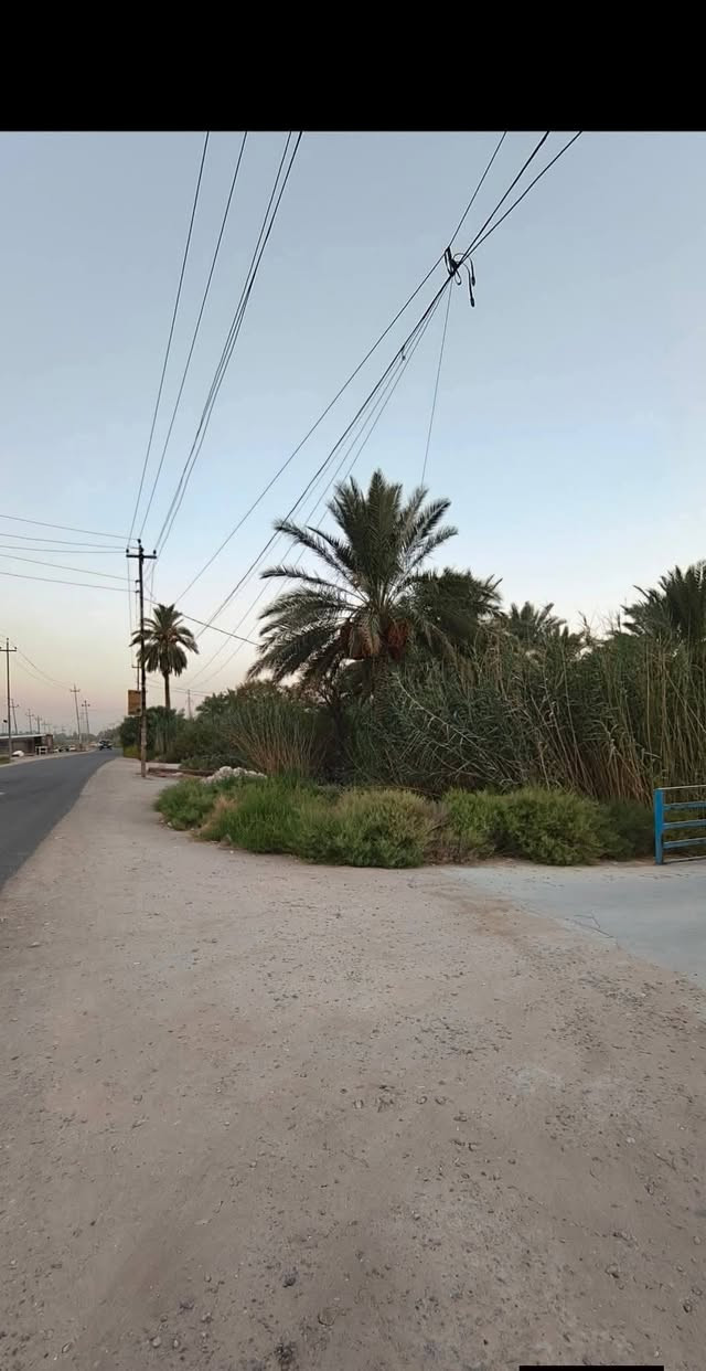 متاح 5 دوانم مع بيت بناء 300 متر مرمم بلكامل  جنس الارض طابو زراعي سند 25  تحويل مباشر الارض مجهزه  بكل شي ومزروعه والارض تحتوي علئ طريق خاص بجانب البيت عرضه 4 امتار ونص مع مجرئ السقي  7 امتار العنوان بابل طريق كربلاء راجع بغداد تبعد عن الشارع كربلاء بغداد ٥٠٠ متر شارعها تبليط ومجهزه بلكامل قريب سيطره الوند هور حسين الاستفسار اكثر الاتصال علئ الارقام التاليه :
وتساب 
***********
***********
السعر جدا مناسب
