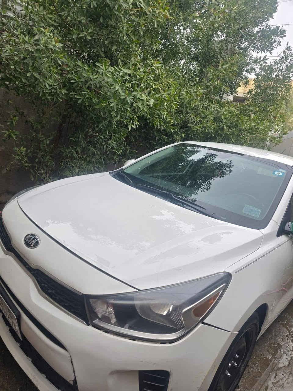 السلام عليكم كيه ريو مديل 2020
مكاني بغداد ***********
