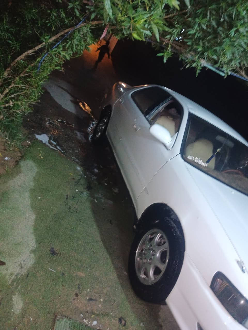 سلام عليكم 
كرسته مكفوله نقل فقط امرشه جنطه محرك ونجي حداديه طوبه والباقي كفاله عامه والعنوان بصره ازبير رقم الهات***********
