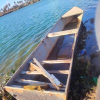 بلم • نضيف • مسيب