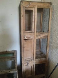 بايسكل • فرشات ٣×٤ • كوت جصان