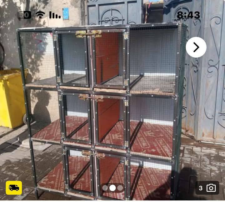 بصره قبله وسعار مناسبه


**إذا كنت صاحب هذا الإعلان وتريد حذفه لأي سبب، رجاءا أرسل رسالة إلى الدعم الفني**