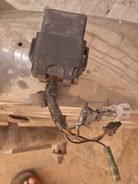 فراشة • تفصيخ • سلف