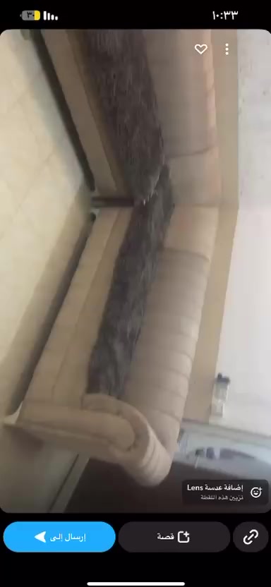 تخم ديوان وميز بدون كراسي ثنين بيع سريع قفل سعرهم ٨٥ الف قفل ثننيهم بيع سريع ***********  مكانهم اربيل كولان
