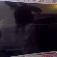 تلفزيون • شغال • شارع الوفود