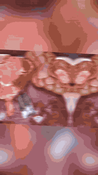 جرب لحوم ومشويات (المسعودي) ومراح تخسر شي ارضاء الزبون غايتنا لحومنا عراقيه وطازجه 100‎%‎  (لحوم ومشويات  (المسعودي) تقدم لكم لحوم طازجة ونظيفة يوم بيوم  لحم غنم 🐑 لحم عجل 🥩 جميع انواع اللحوم العراقيه الطازجه  (المشويات) كباب لحم 🥩 كباب دجاج 🐔 تكه لحم +تكه دجاج + معلاك  مع المقبلات 🥗🥗  /  العنوان جسر ديالى مقابيل شارع الاطفاء مباشره اهلا بالزبائن الكرام منطقتنا الحبيبه 
رقم الهاتف /***********💙 خدمه توصيل
