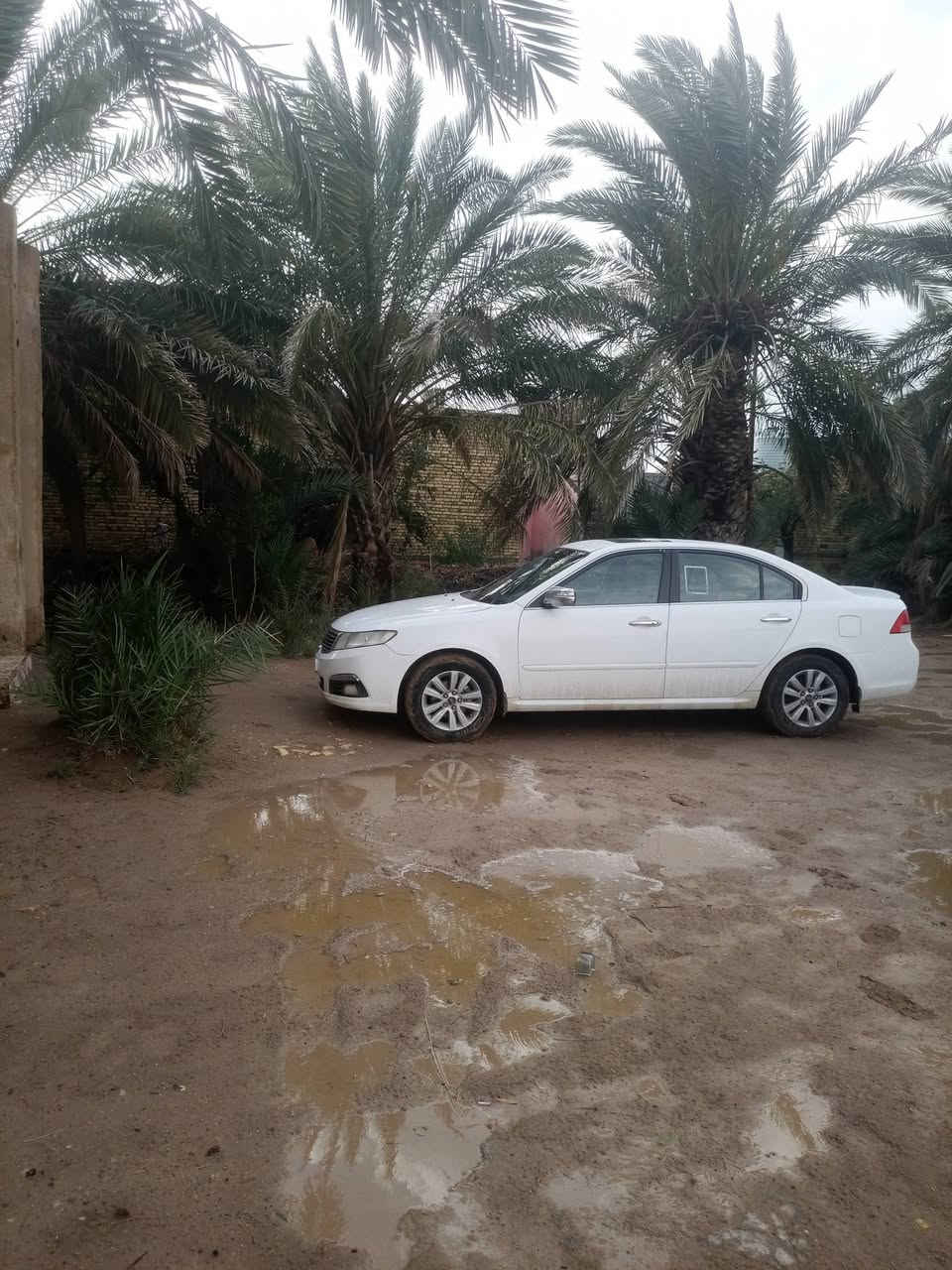كيا اوبتيما موديل٢٠١٠
فول مواصفات محرك جديد 
تاير جديد حدادية جديدة 
توجد ضربة في الجاملغ الخلفي 
السعر ١١٥ للاتصال ***********
مكان السيارة الناصرية .الغراف
