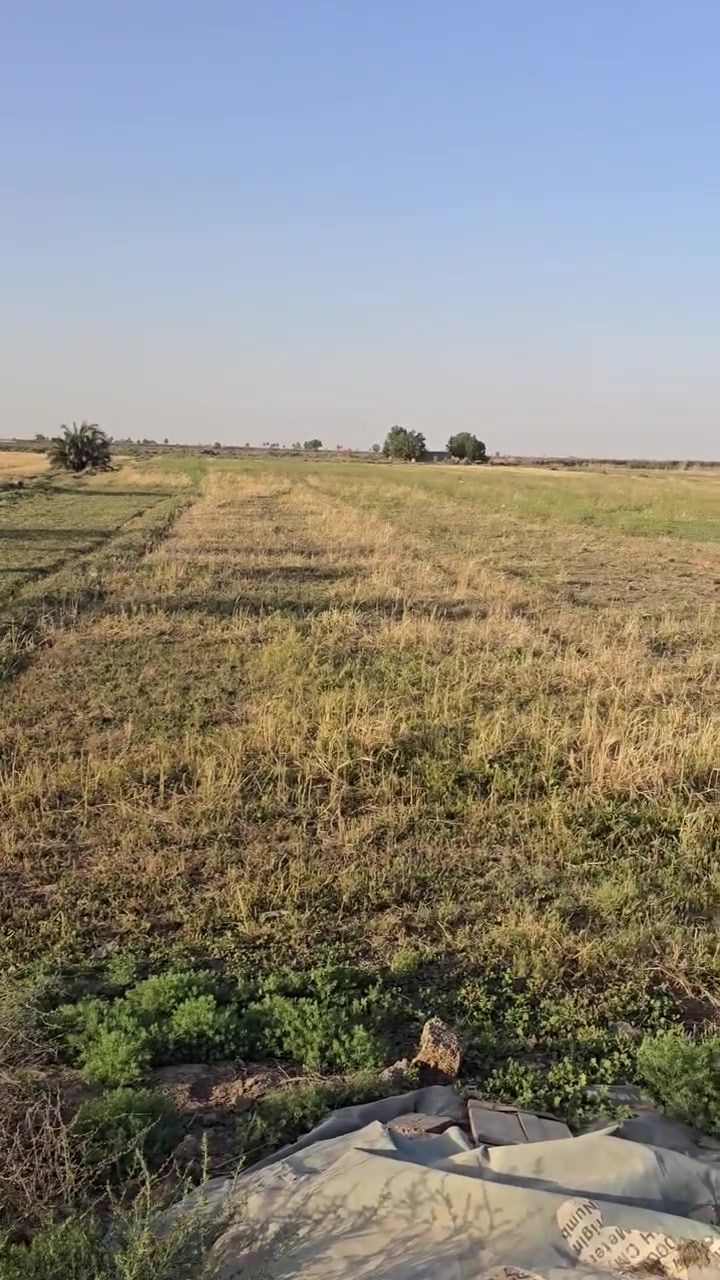 ١٢دونم للبيع عقد 35 بسمايه حي الوحده
***********
