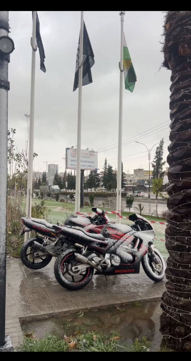 سلام عليكم انشط اف 3 للبيع موديل 2001 محرك كبس cc600دراجة مناقصلها شي غير تصعد بيها وتوكل   الكزوز عالم ثاني 🔥🔥 دراجة حيل نشطة بحيث بس تريد نمر مكاني بدهوك وسعر25  وبيه مجال كلش زين واتساب كورك ***********
