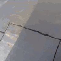 علي مسعودي • شغل درجة اولى • كافة المحافظات