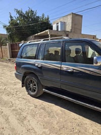 ٢٠٠٢ • صبغ عام • بيجي