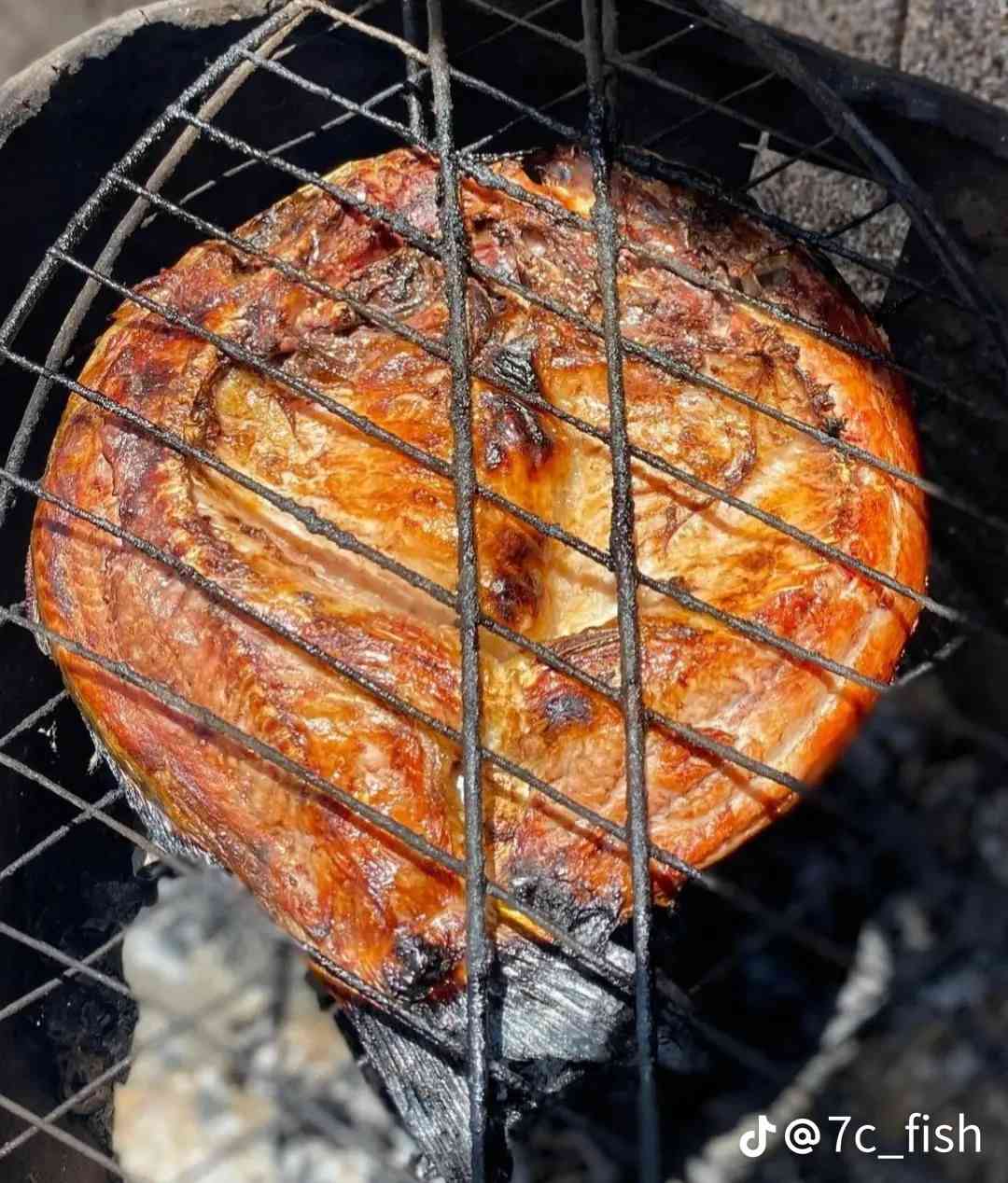 سلام عليكم
محتاج شغل اني خلفه سمج مسكوف طباكه أوتاد أو تنور أو بل فرن بلي يعجبك خلفه دجاج مشوي ع غاز ع فحم وبل تنور فتح تقطيع تقشير سمج من البز لحد  المزلك وسلطان براهيم والخ وكافه الاسماك البحريه والنهريه  والرزق ع الله سبحانه وتعالى مكاني نجف

رقمي ***********
