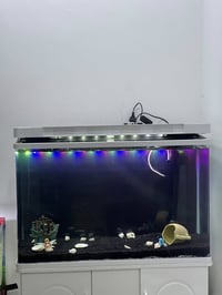 حوض اسماك البيع بس الحوض بدون ميز السعر ١٠٠الف الي يريد يتفضل خاص أو ي...