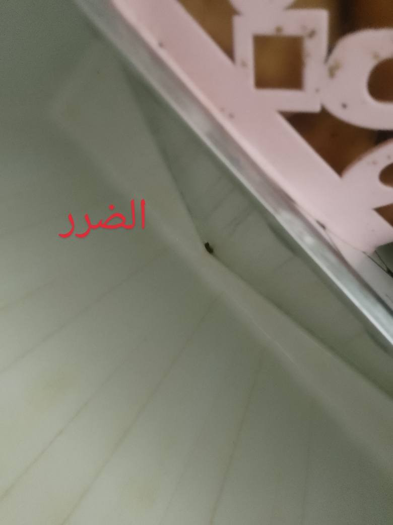 سلام عليكم ثلاجه للبيع ومن فوق ثلاجه ومن جوه مجمده اسمها ALHAFIDH
مواصفاتها 

تبريد قوي جدًا ✅

تحكم إلكتروني بالحرارة ✅

وضع Eco لتوفير الكهرباء ✅

وضع Super للتجميد السريع ✅

كفالة 5 سنوات على الكمبروسر ✅

إنارة LED داخلية ✅

شكل خارجي مرتب ولون ماروني مميز ✅

صوتها هادئ واستهلاكها جيد للكهرباء ✅

مناسبة لحر العراق 🔥

حجمها  كبير ومناسب للعائلة 👌

وفيها فقط ضرر بسيط فتحه التسريب الماء مسدود وقابله التصليح لأقرب مصلح يمكم لان ماكو واحد يمنه ولا يجاوز تصليحها ٥ الالف 

والسعر 450 وبيها مجال 

العنوان في الخاص للاستفسار............


**إذا كنت صاحب هذا الإعلان وتريد حذفه لأي سبب، رجاءا أرسل رسالة إلى الدعم الفني**
