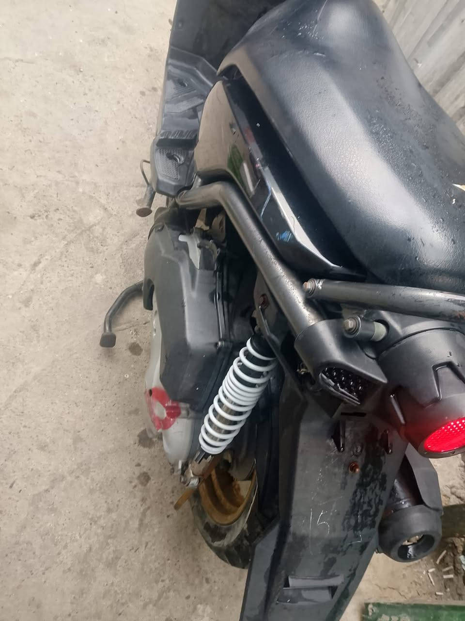 سلام عليكم سكنس جبلي لبيع مكفوله كفاله عام بكانه بغداد ***********
