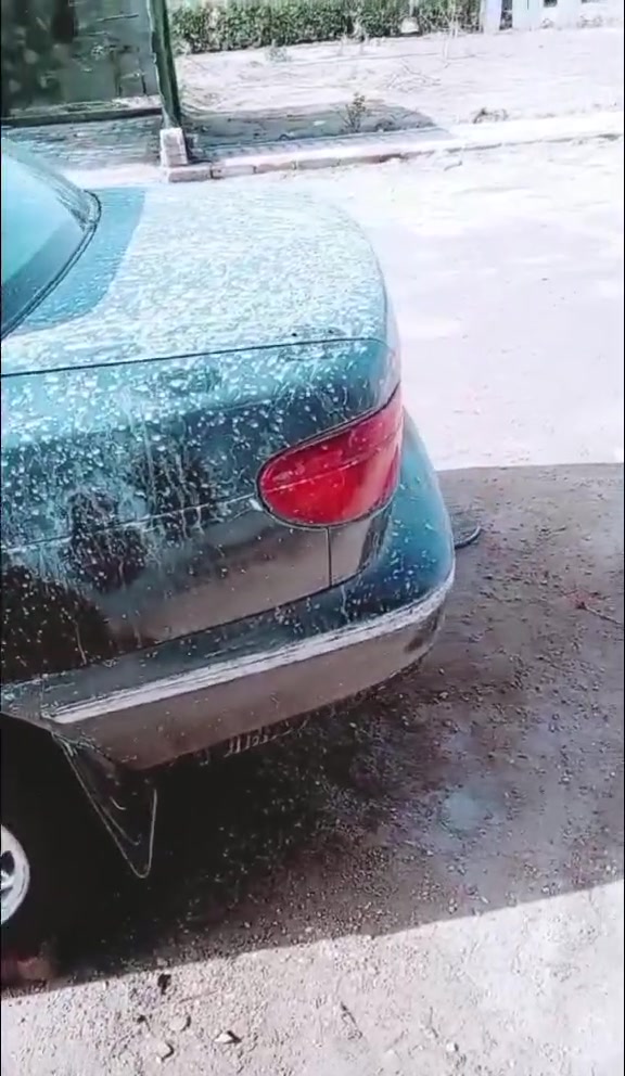 السلام عليكم
كيا سيفيا موديل 94 سياره جاهزه محرك لا صرف ولا بخار  ولا قطرت خياس بيه زوج تايرات جدد باتر جديد محرك جديد كهربائيات مشتغلينه جديده رقم انبار سنويه لل2027 ياله تصقط تحويل ثاني يوم. مكان السياره الفلوجه

***********
***********
