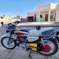سن الذيل • جديدات • غير ابيض