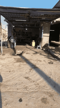 سلام عليكم خوان غراض محطة غسل لبيع -جك غسل +ماطور هوة عدد 2+تنكيات مي عدد4+خالعة بنحر +ررغوة تركية +ماطور مي عامودي +بنزين +رفوف دهن عدد3+سقيفة + , معة دهن عنوان بل كوفة ستفسار *********** غراض بل كامل ينباعن
