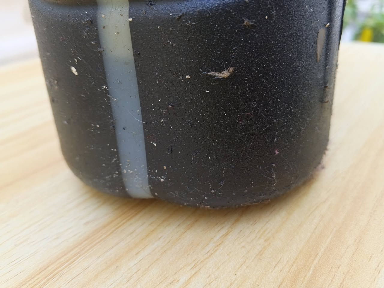 شباب دهن اصلي هوا ودبه تاخذه زرف مابيها ب12 

بك لايت بطه شخط مابي ب10 

زنون شرط العمي عالي رماش ناصي اطفاء 60 اصلي أبو مروحه منظومه

حي العامل مكاني متواجد خاص


**إذا كنت صاحب هذا الإعلان وتريد حذفه لأي سبب، رجاءا أرسل رسالة إلى الدعم الفني**