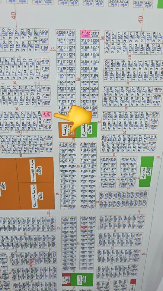 رقم الهاتف ***********
