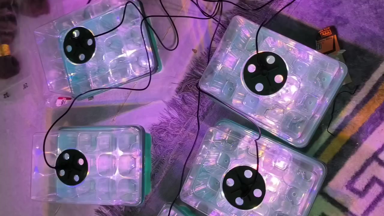 بيوت زجاجيه حجم صغير عددهن 5 السعر 15 الف


**إذا كنت صاحب هذا الإعلان وتريد حذفه لأي سبب، رجاءا أرسل رسالة إلى الدعم الفني**