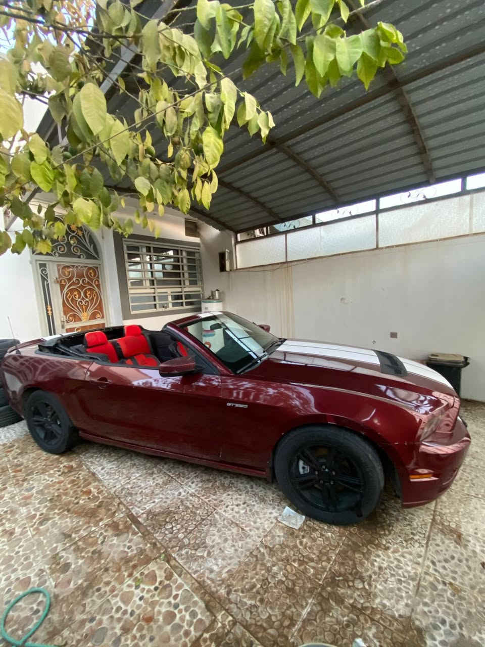 سلام عليكم موستنك ٢٠١٢لبيع او مراوس
كفاله گير محرك 3700

المرغوب بانزين عادي 

مصبوغه عام جماليه 

كشف شغال 

تبريد ثلج ❄️ 

رقم سليمانيه تحويل مباشر 

عليها برمجه سيفتي يم الراوي 

صوت طلقات 

لايت زنون 

لايت عادي 

حادثها جاملغ وبنيد 

السعر ب 75 وبيه مجال  

يحتاجلها ترتيبات بسيطه 

الشراي يتصل ***********

مكاني بغداد جسرديالى
