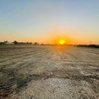 دوانم • طابو زراعي سند25 • خلف جامعة بابل