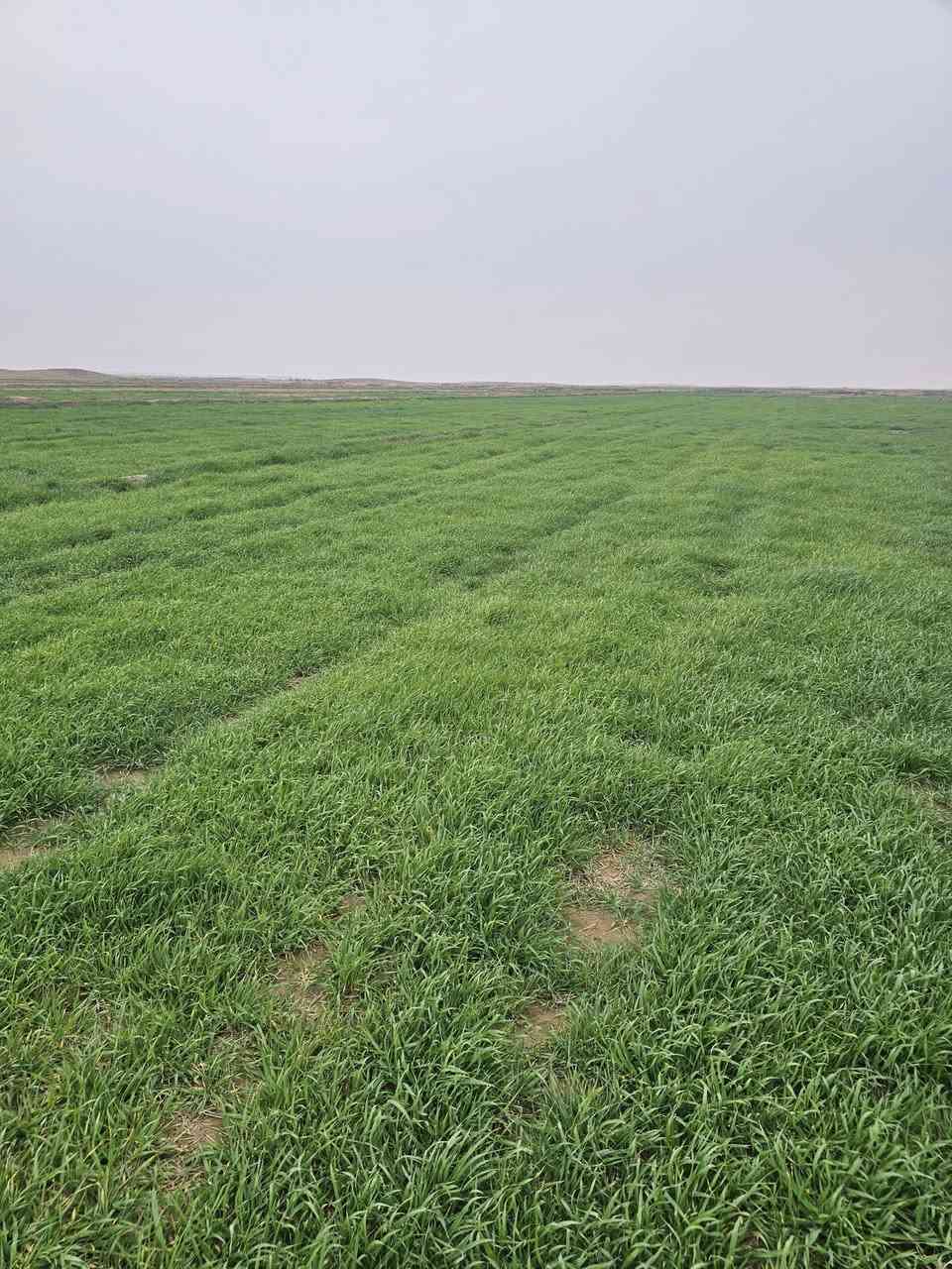 جاير للبيع ٥٢٥دونم قرب منطقة الشوملي مكلف بنشر
الاتصال على صاحب رقم
***********
