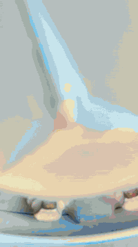 اكتروز موديل2000 راس وعربانه كفاله عامه وضع شركه السعر 275 وبيه مجال ***********
***********
