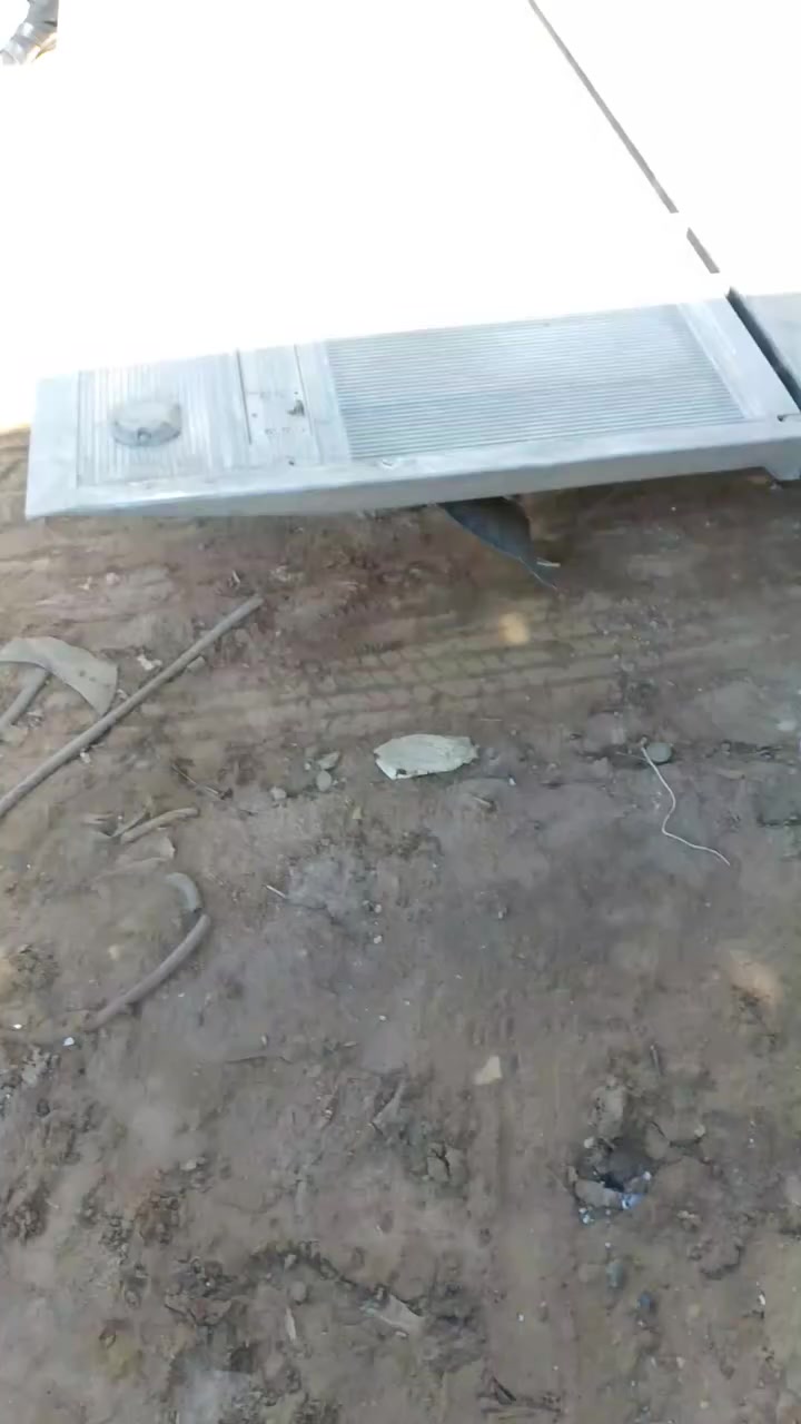 السلام عليكم
باب جك سيارة اتيكو موديل 2012. للبيع. للستفسار اتصل ***********
