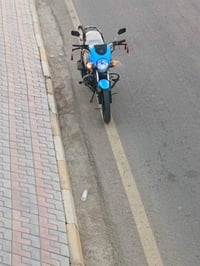 دايوان • موديل 22 • الكوت الخضراء