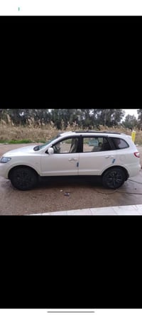 سنتافيا • ٢٠١٠ • فول ويل