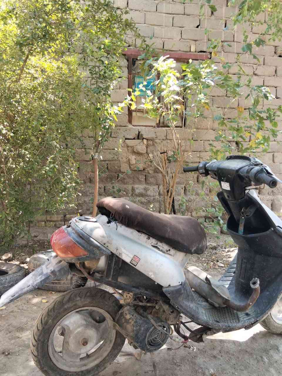 يالله يالله كسر كسر كسر اليوم
دراجة ثعلبة  نضيفة مابيها شيء فقط عطلت عندي وفتحت بوشة وبستم وعفتها حسبالي بيها كوم حديد ابيع  سعر 50 وبي مجال لطيبين تواصل خاص او ع رقم التالي / ***********
