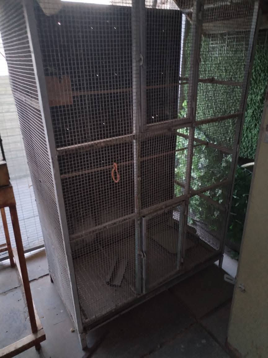 السلام عليكم اخوتي الاعزاء بيت طيور حديد شغل درجه اولى فول دبل باب جرارة تنظيف سقف خشب ديكور عرض متر وارتفاع مترين ونزال 50سم
المكان بغداد تقاطع درويش. التراث هاتف ***********
