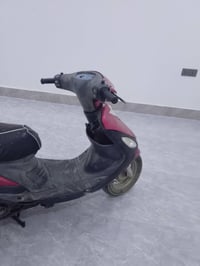 ماكس • نضيفه • تنومه