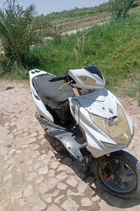 سكنس • صيني • طاك