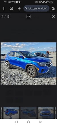 سيلتوز S • ٢٠٢٤ • وارد امريكي